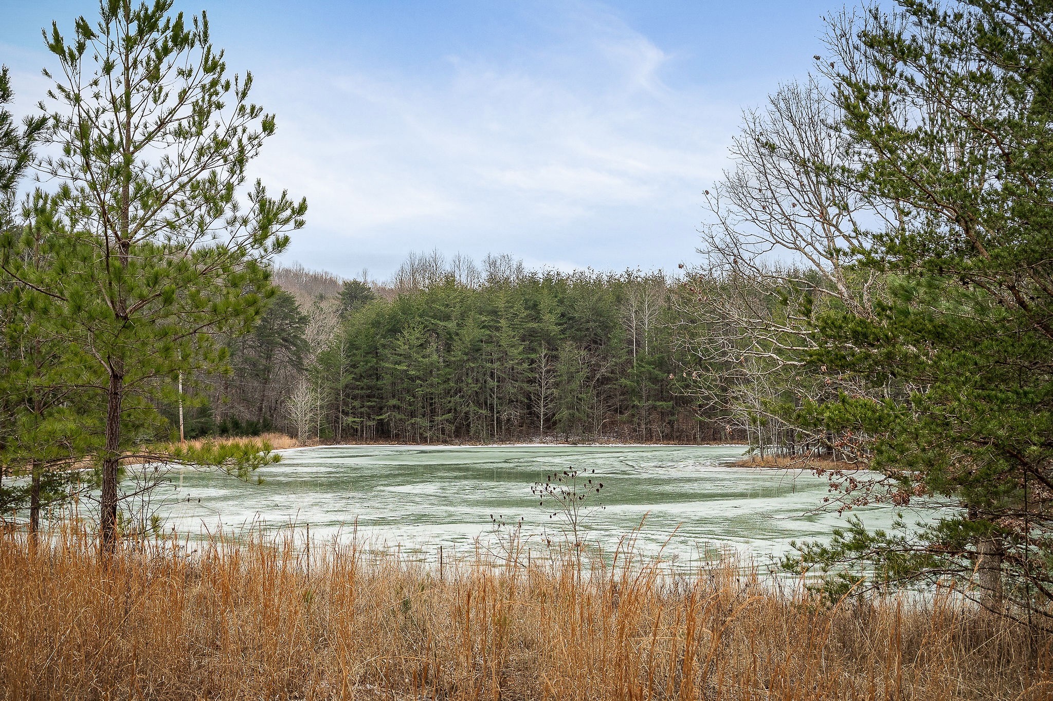 214 Edmonds Road Spencer, TN 38585 - Photo 4 of 39 a view of outdoor space with yard