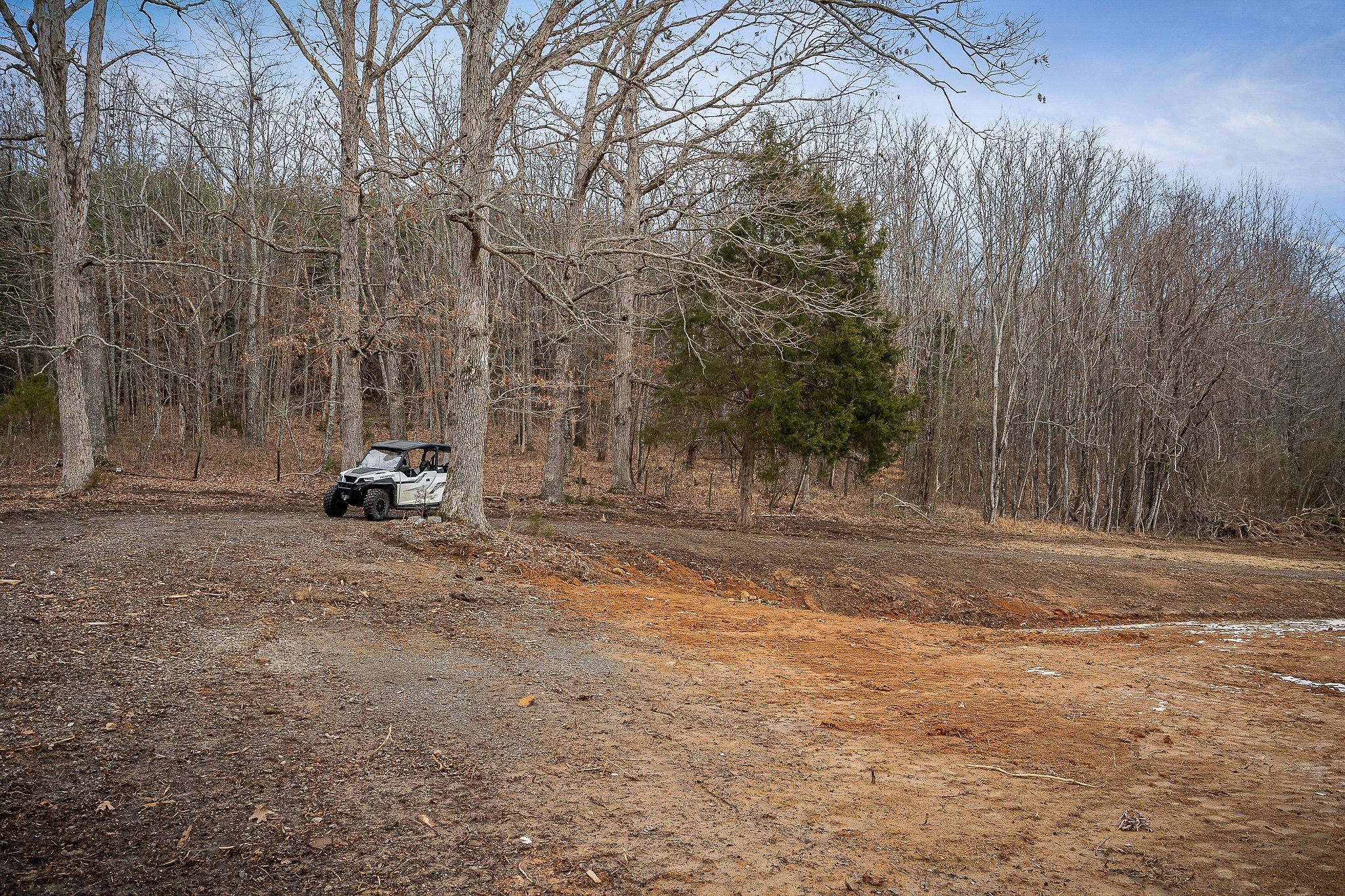 214 Edmonds Road Spencer, TN 38585 - Photo 5 of 39 a view of a park with large trees