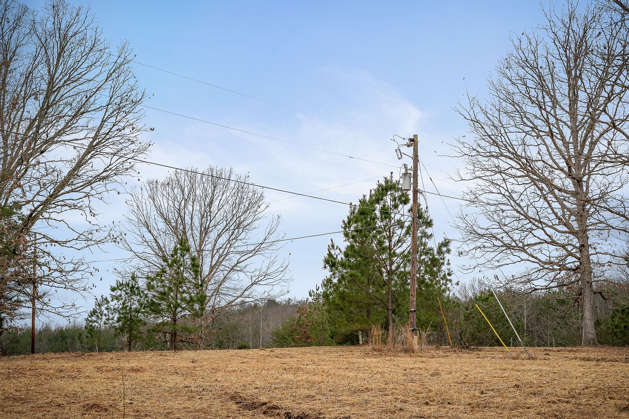 214 Edmonds Road Spencer, TN 38585 - Photo 7 of 39 a wooden view of a yard