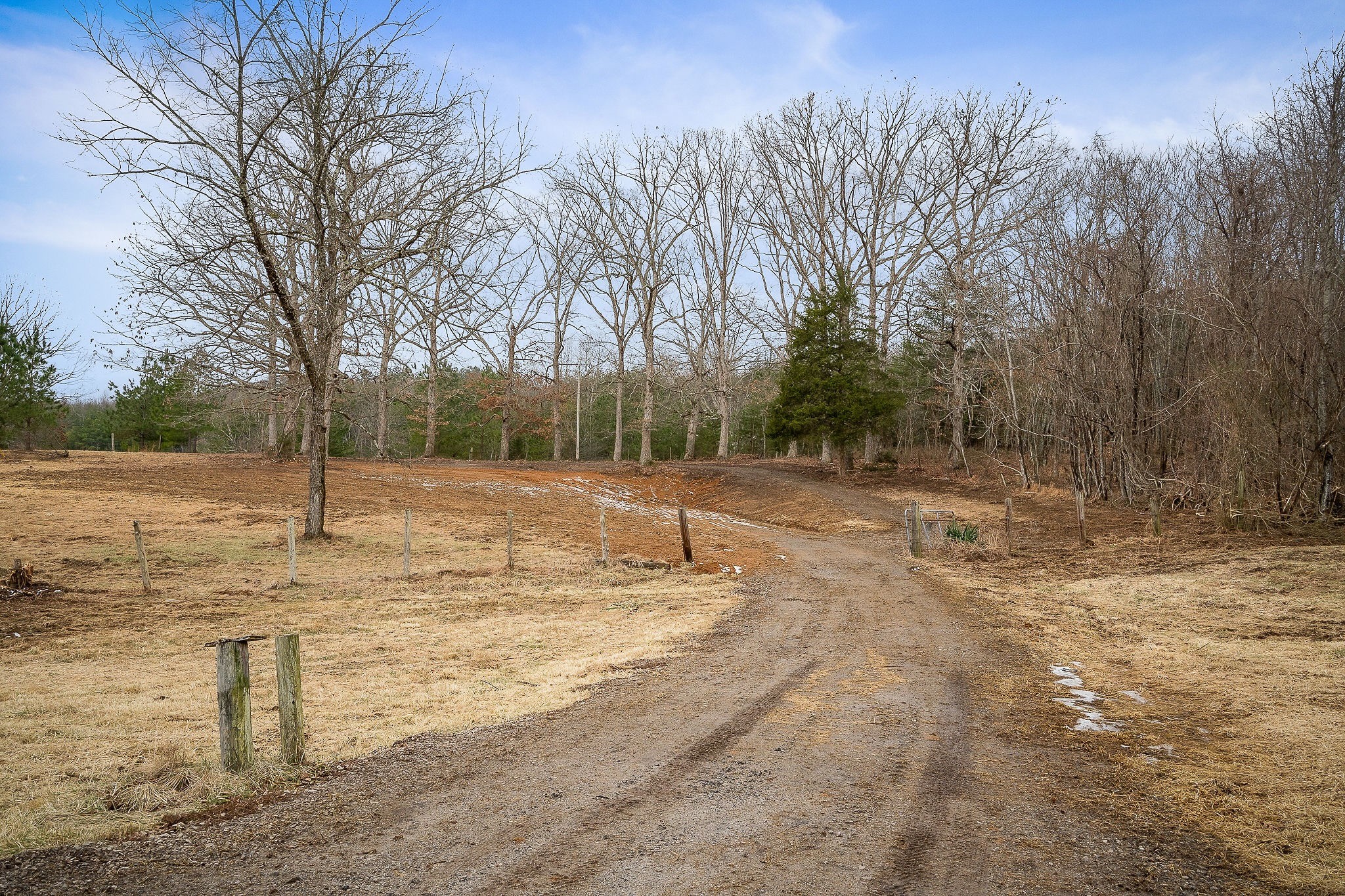 214 Edmonds Road Spencer, TN 38585 - Photo 8 of 39 a backyard of a house with trees