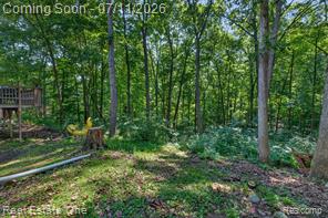 310 South Van Road Holly, MI 48442 - Photo 62 of 67