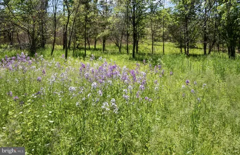 $7,950,000 | 6298 Pidcock Creek Road, New Hope, PA 18938