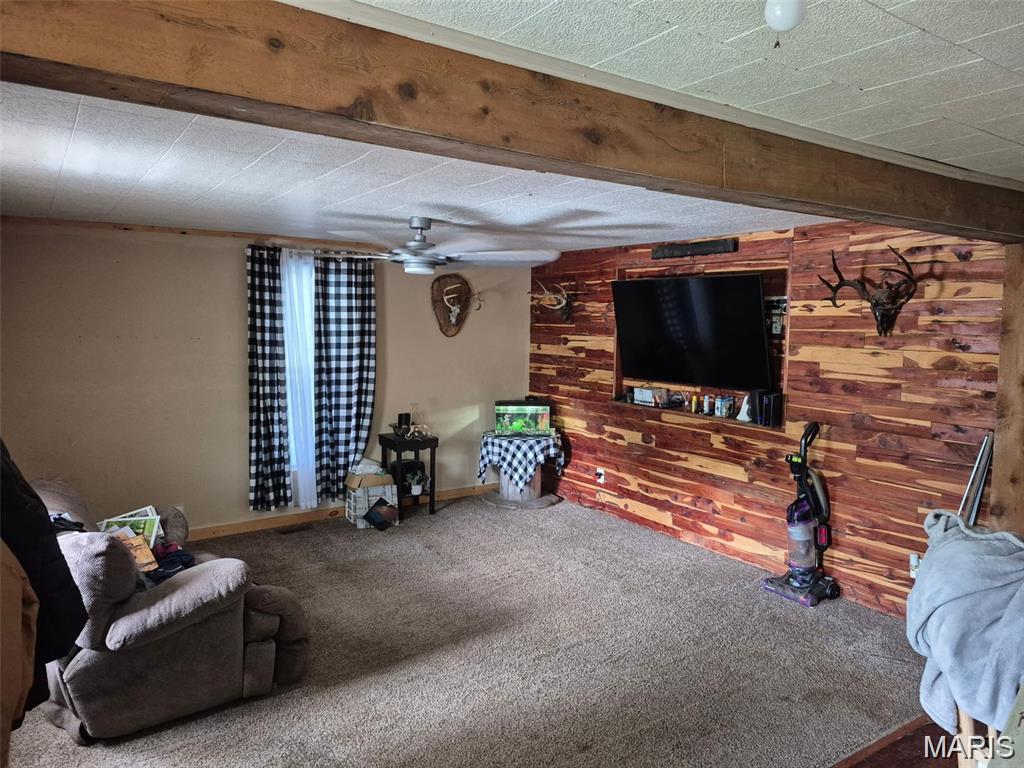 111 College Street Arcadia, MO 63621 - Photo 23 of 26