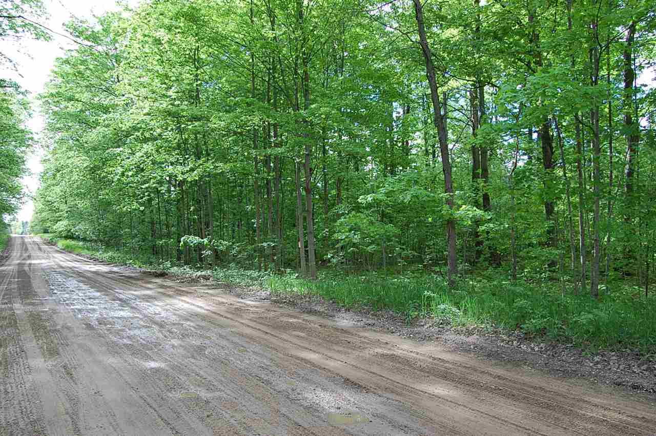 624 Sharon Road Southwest Fife Lake, MI 49633 - Photo 8 of 45 1808192-7.JPG