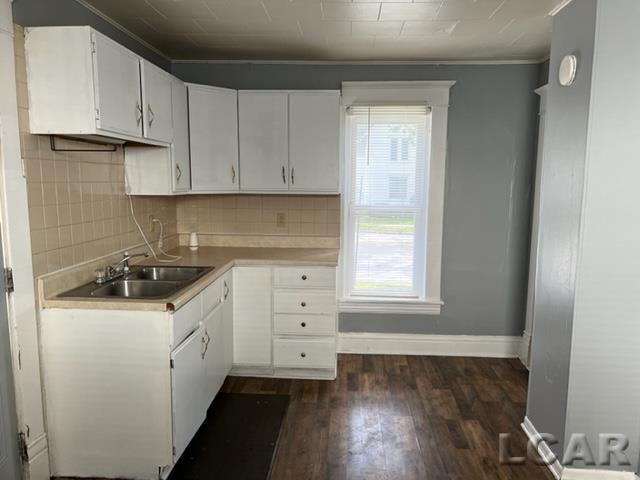 655 South Winter Street Adrian, MI 49221 - Photo 4 of 10