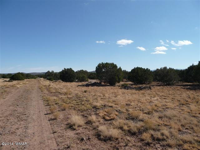 Lot 25 Chamisa Ranch Show Low, AZ 85901 - Photo 2 of 8