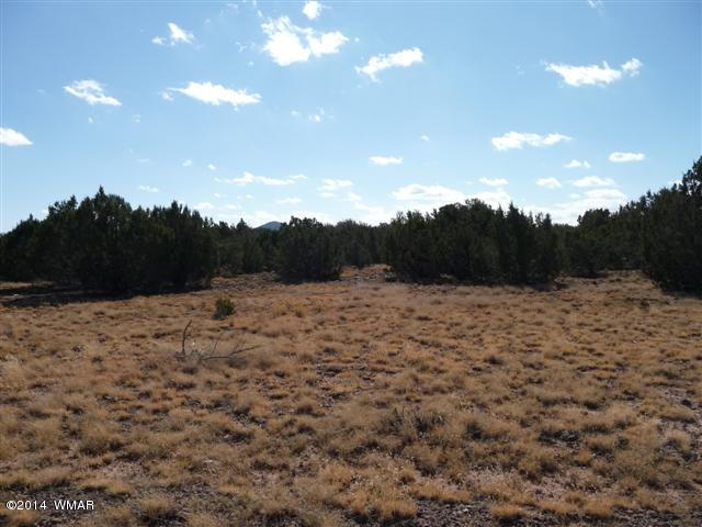 Lot 25 Chamisa Ranch Show Low, AZ 85901 - Photo 3 of 8