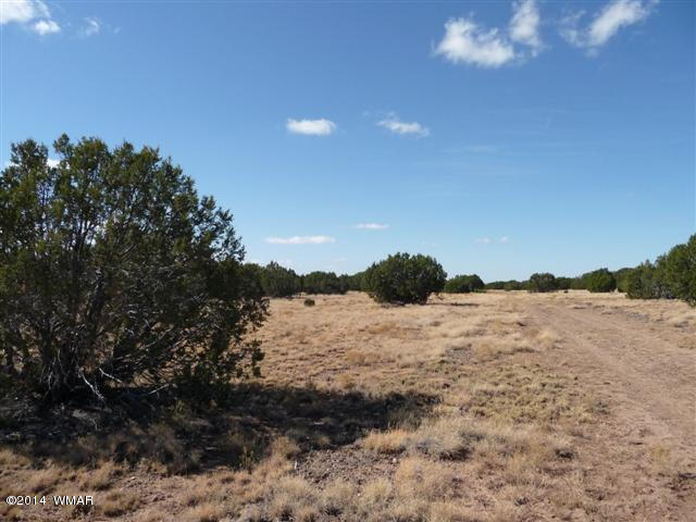 Lot 25 Chamisa Ranch Show Low, AZ 85901 - Photo 4 of 8