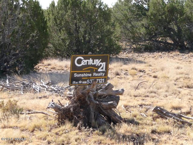 Lot 25 Chamisa Ranch Show Low, AZ 85901 - Photo 5 of 8