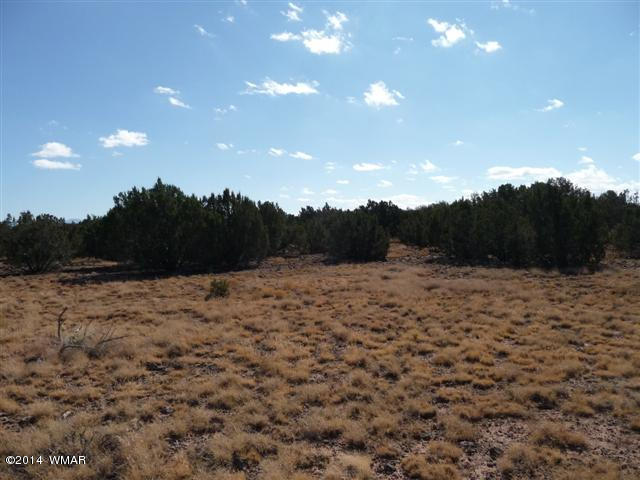 Lot 25 Chamisa Ranch Show Low, AZ 85901 - Photo 6 of 8