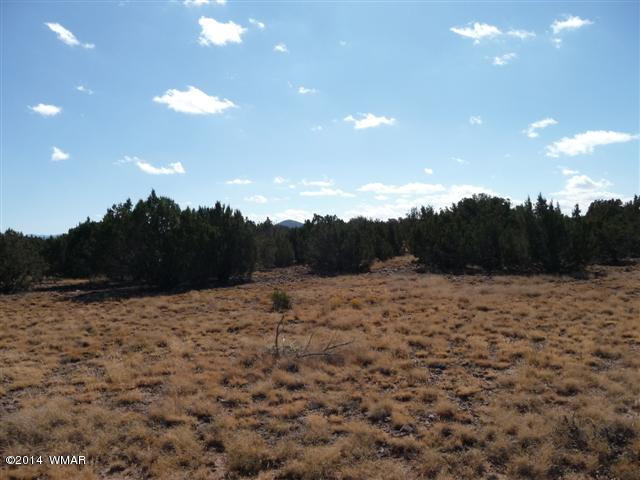 Lot 25 Chamisa Ranch Show Low, AZ 85901 - Photo 8 of 8
