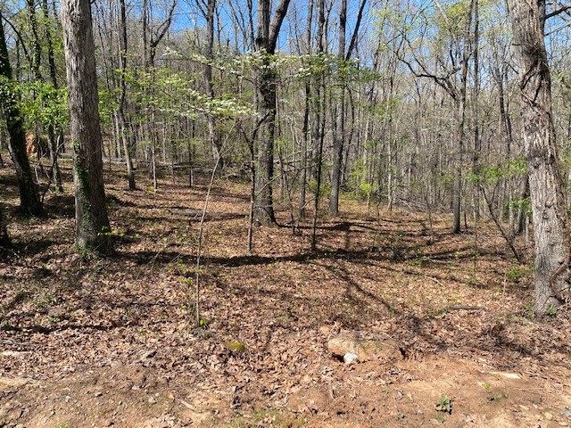 3 Harbor View Drive Salem, SC 29676 - Photo 2 of 10