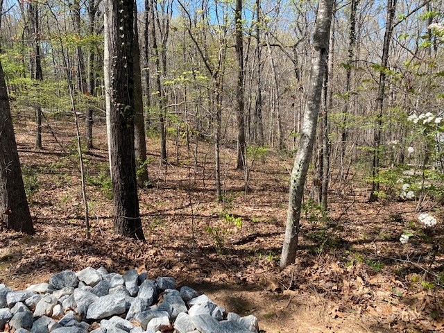 3 Harbor View Drive Salem, SC 29676 - Photo 3 of 10