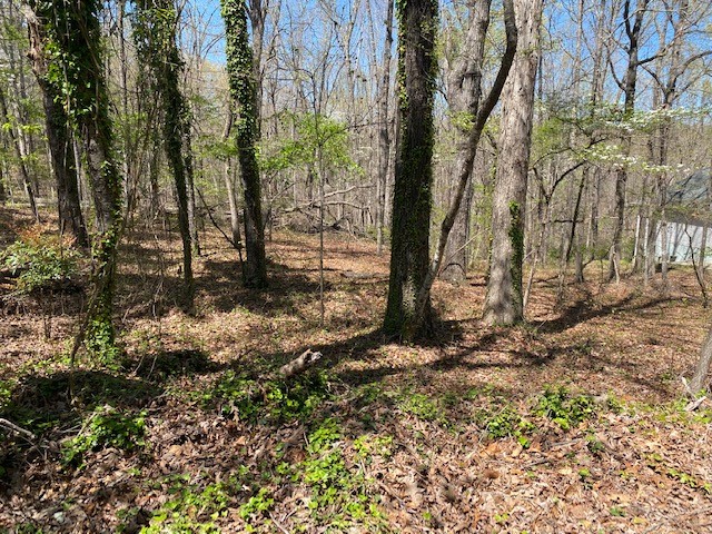 3 Harbor View Drive Salem, SC 29676 - Photo 8 of 10