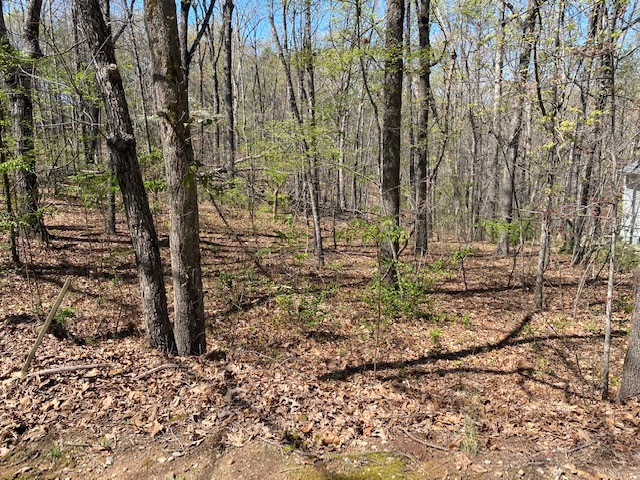 3 Harbor View Drive Salem, SC 29676 - Photo 9 of 10