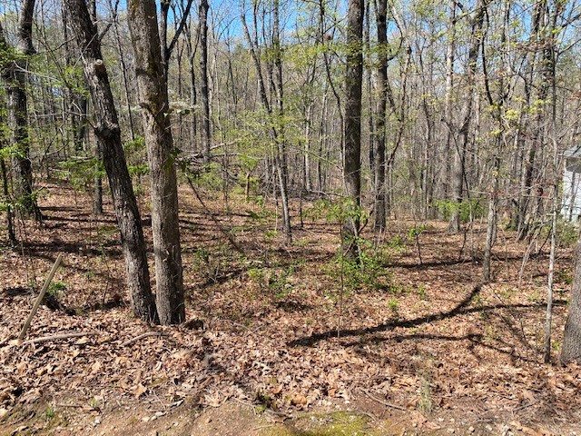 3 Harbor View Drive Salem, SC 29676 - Photo 10 of 10