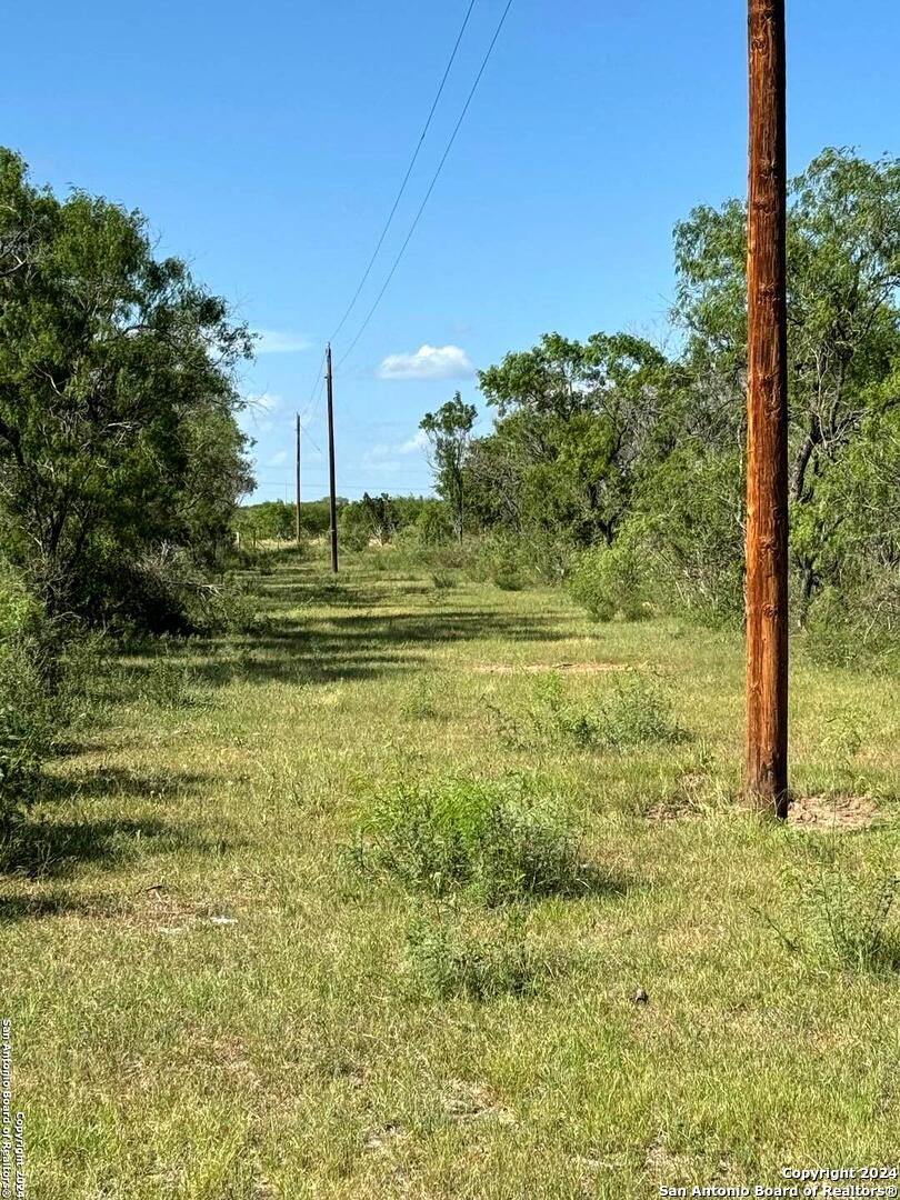 5153 Jim Brite Road Falls City, TX 78113 - Photo 11 of 20