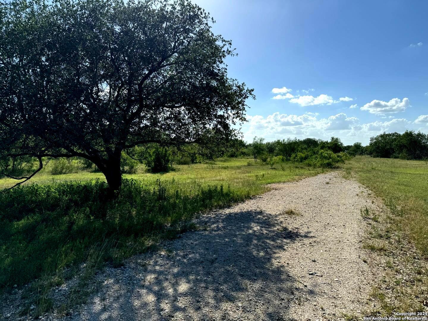 5153 Jim Brite Road Falls City, TX 78113 - Photo 12 of 20