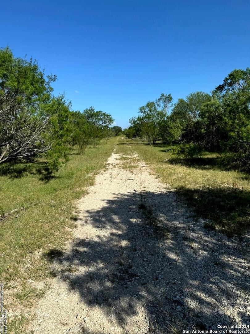 5153 Jim Brite Road Falls City, TX 78113 - Photo 13 of 20