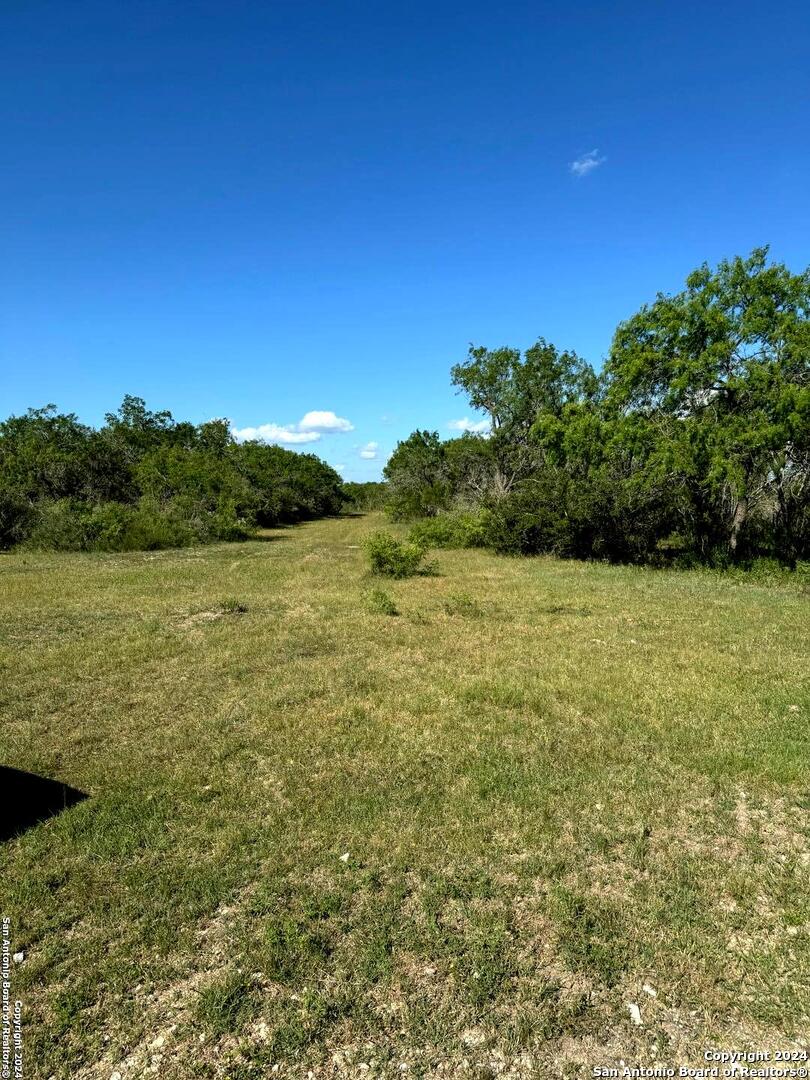 5153 Jim Brite Road Falls City, TX 78113 - Photo 14 of 20