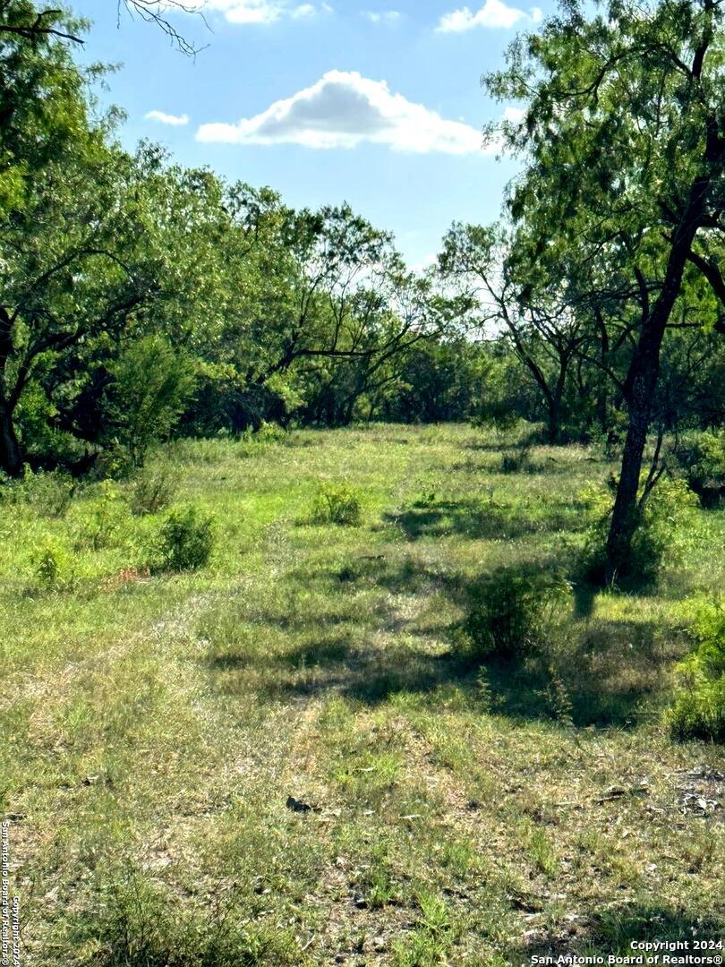 5153 Jim Brite Road Falls City, TX 78113 - Photo 17 of 20