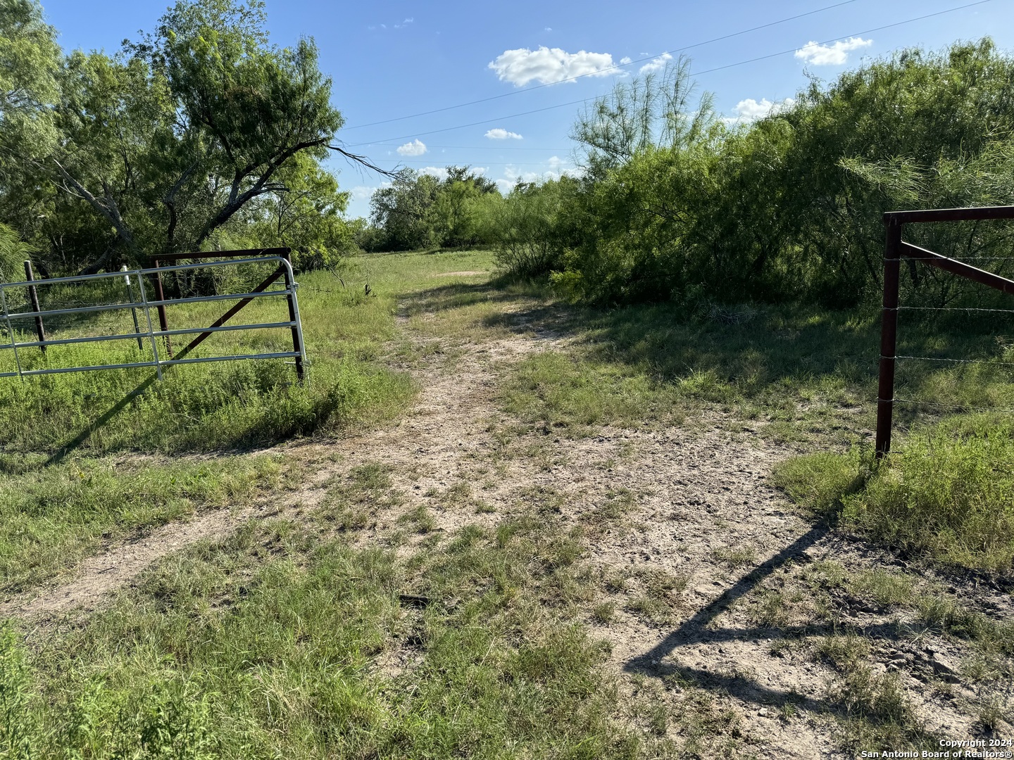 5153 Jim Brite Road Falls City, TX 78113 - Photo 18 of 20