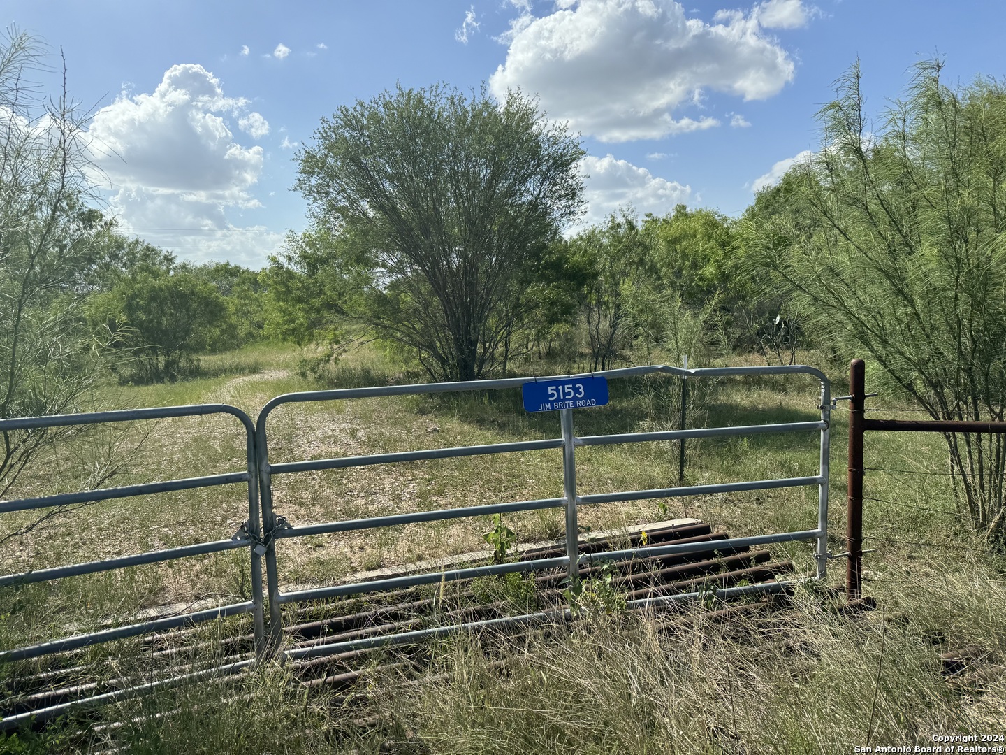 5153 Jim Brite Road Falls City, TX 78113 - Photo 3 of 20