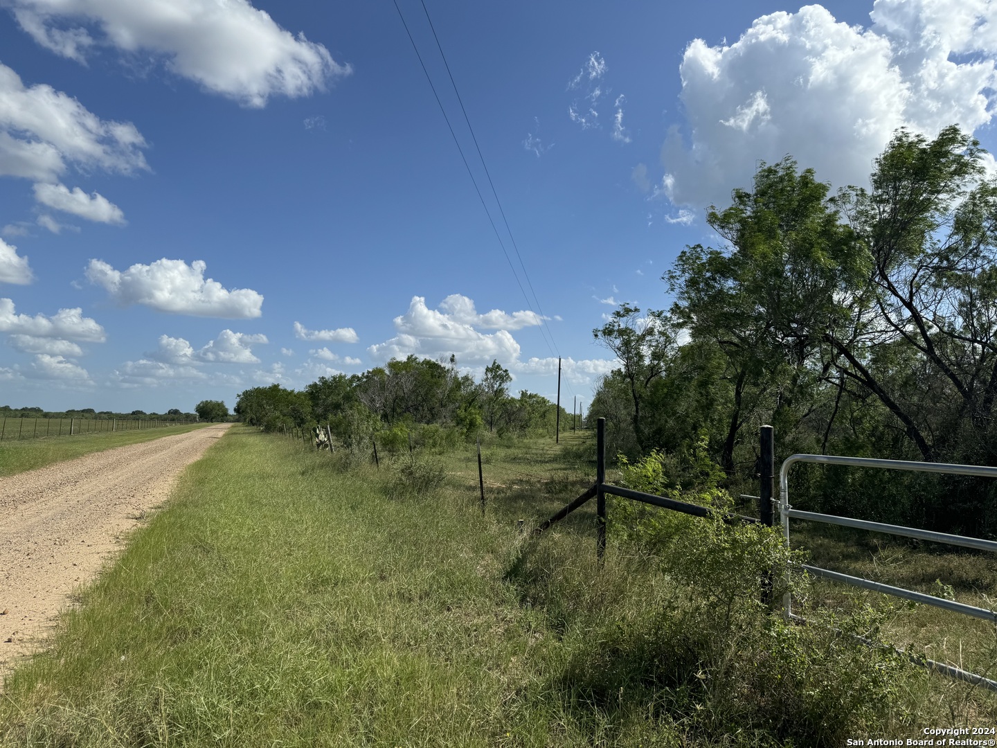5153 Jim Brite Road Falls City, TX 78113 - Photo 4 of 20
