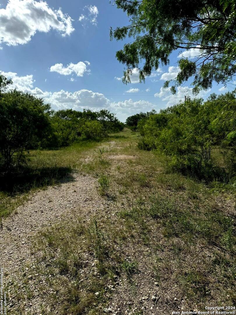 5153 Jim Brite Road Falls City, TX 78113 - Photo 6 of 20