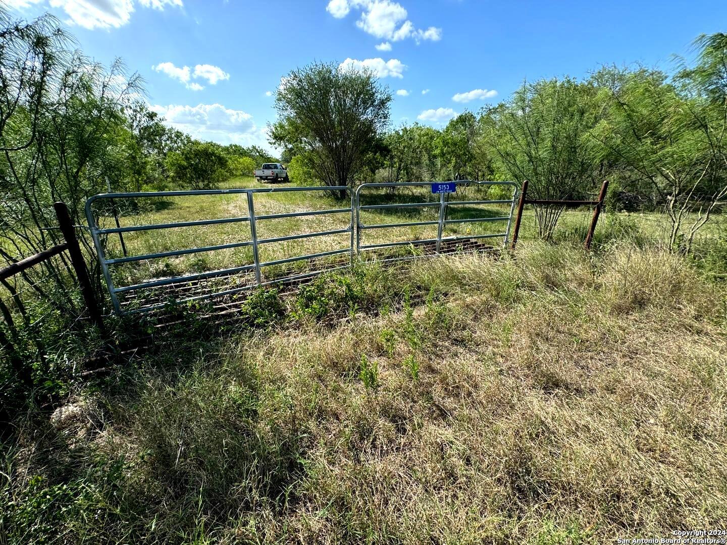 5153 Jim Brite Road Falls City, TX 78113 - Photo 7 of 20