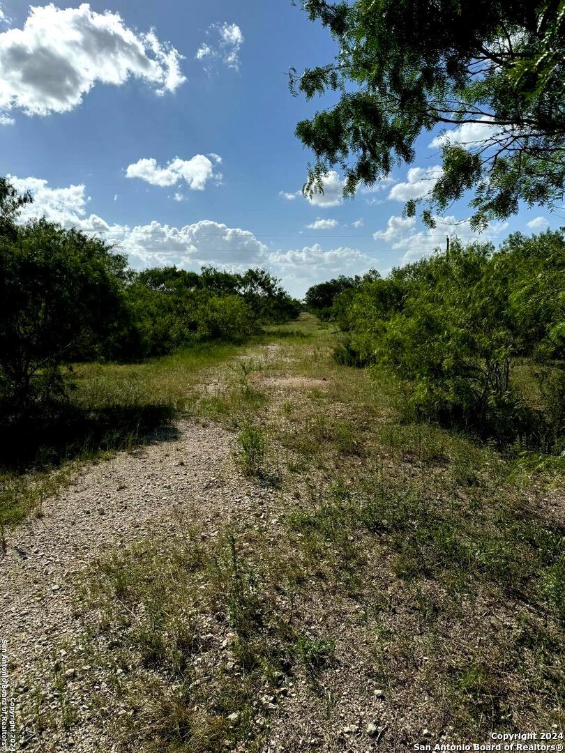 5153 Jim Brite Road Falls City, TX 78113 - Photo 8 of 20