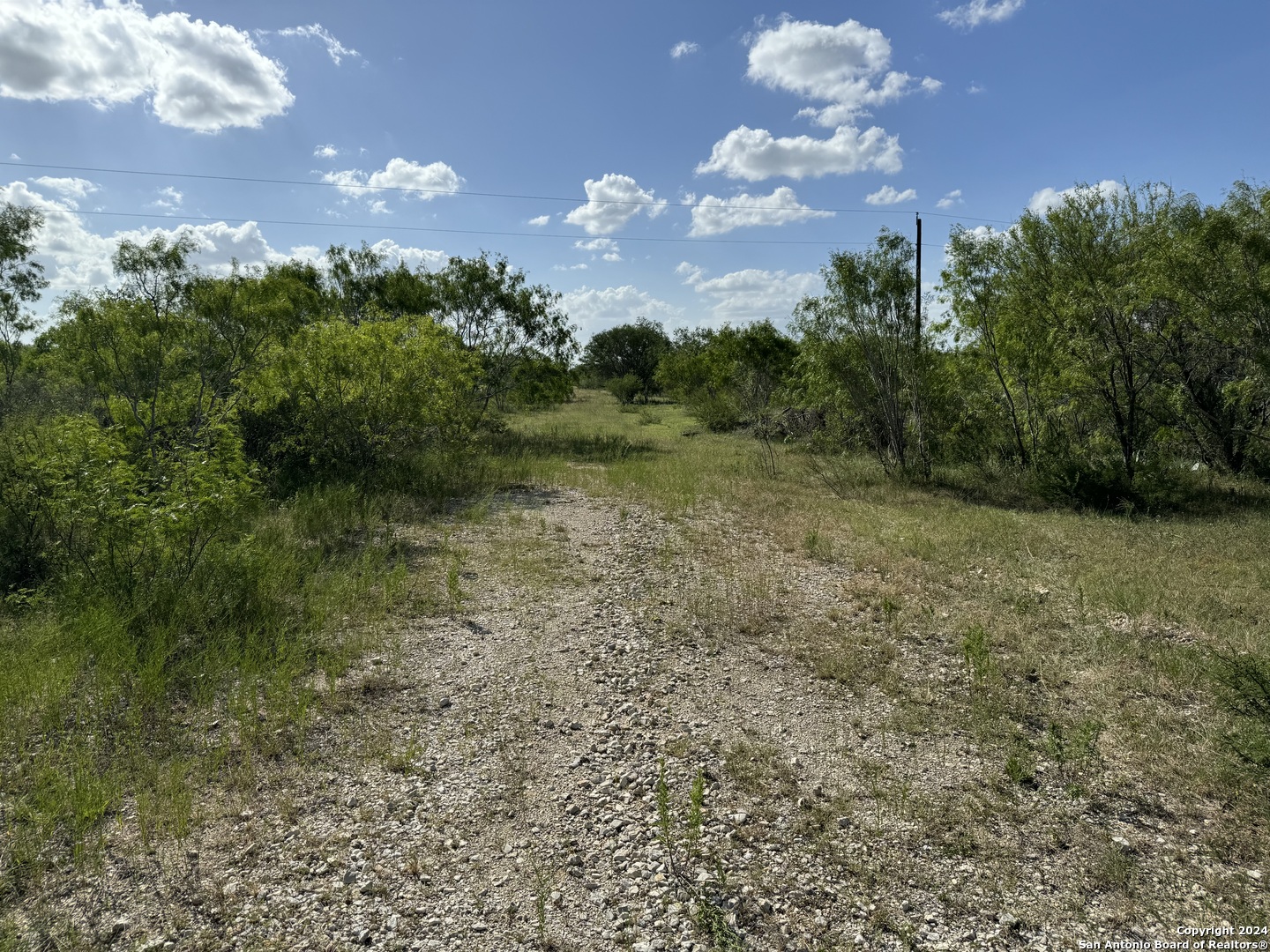 5153 Jim Brite Road Falls City, TX 78113 - Photo 9 of 20