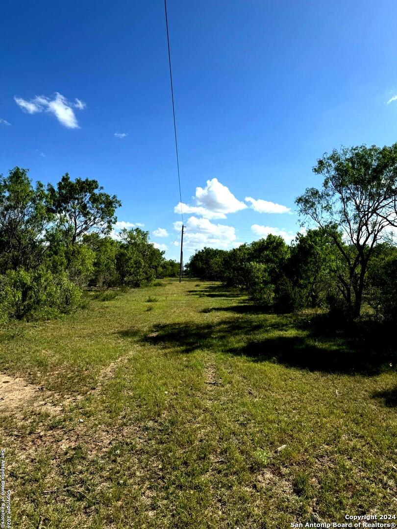 5153 Jim Brite Road Falls City, TX 78113 - Photo 10 of 20