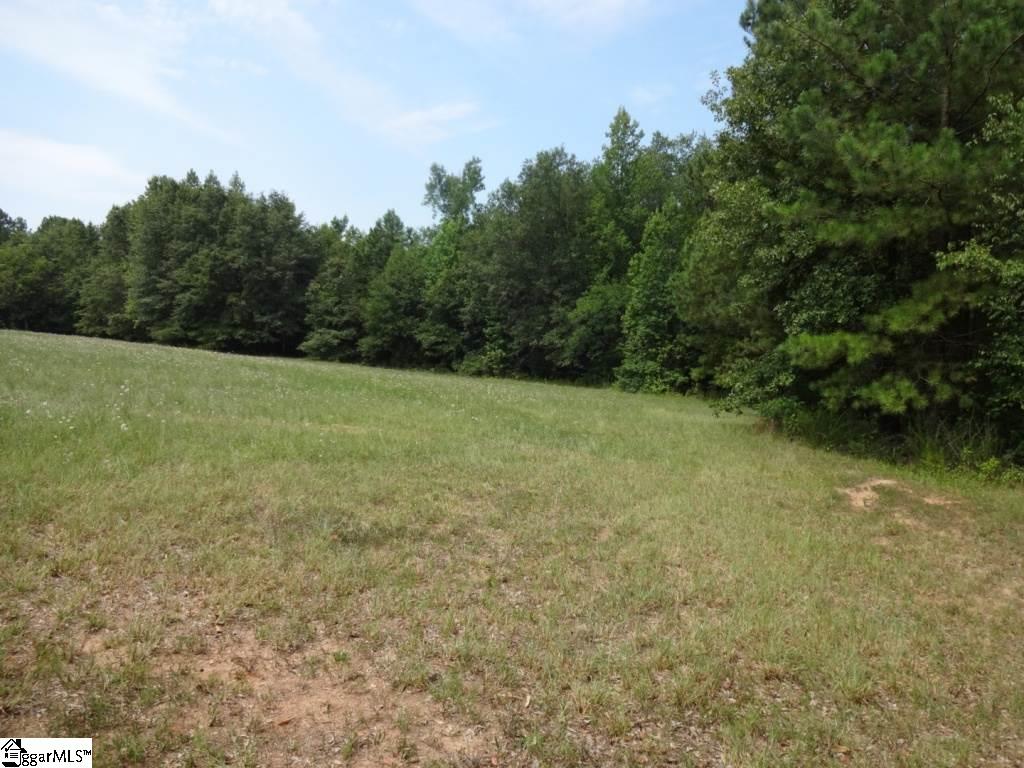 Brothers Road Liberty, SC 29657 - Photo 12 of 26