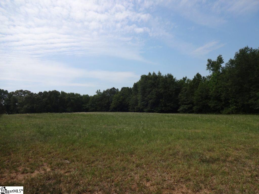 Brothers Road Liberty, SC 29657 - Photo 14 of 26