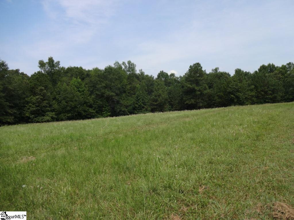 Brothers Road Liberty, SC 29657 - Photo 15 of 26
