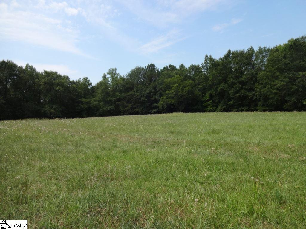 Brothers Road Liberty, SC 29657 - Photo 16 of 26