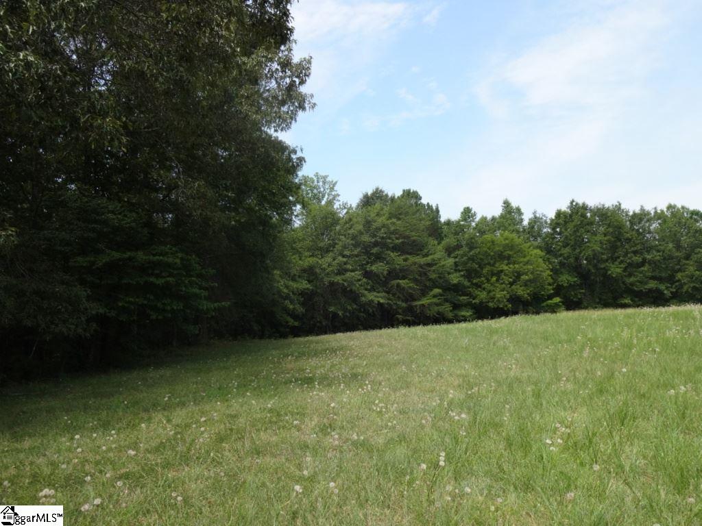 Brothers Road Liberty, SC 29657 - Photo 18 of 26