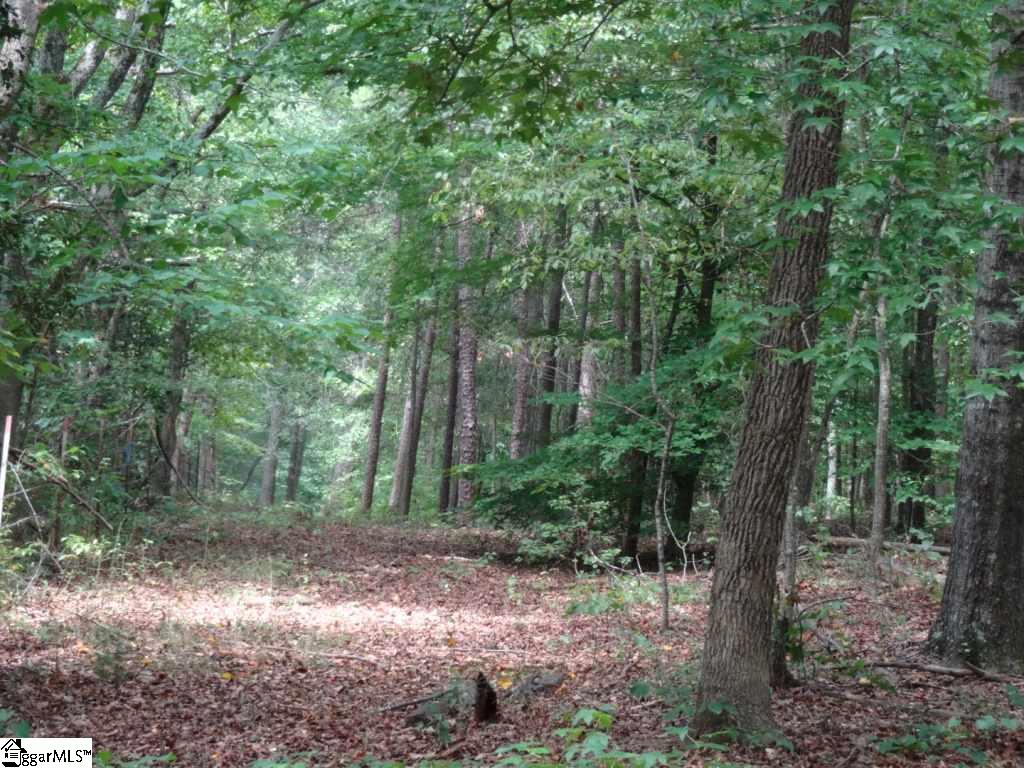 Brothers Road Liberty, SC 29657 - Photo 20 of 26