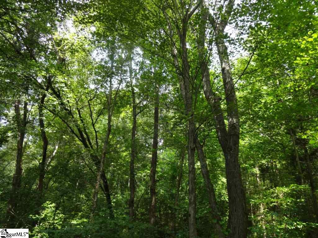 Brothers Road Liberty, SC 29657 - Photo 21 of 26
