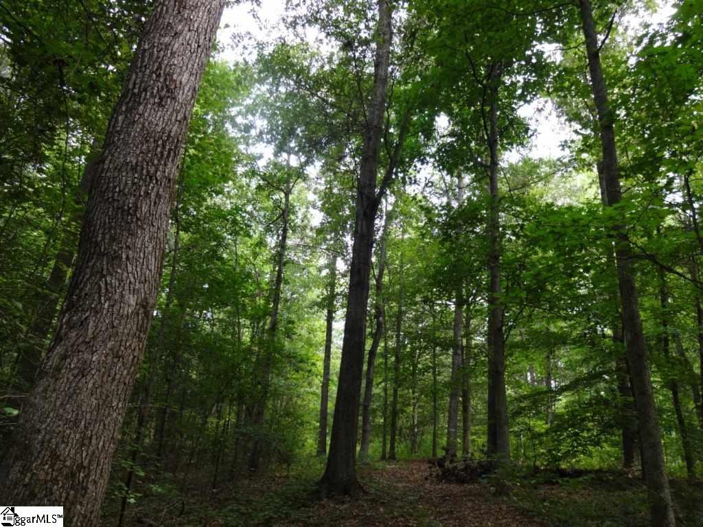 Brothers Road Liberty, SC 29657 - Photo 22 of 26