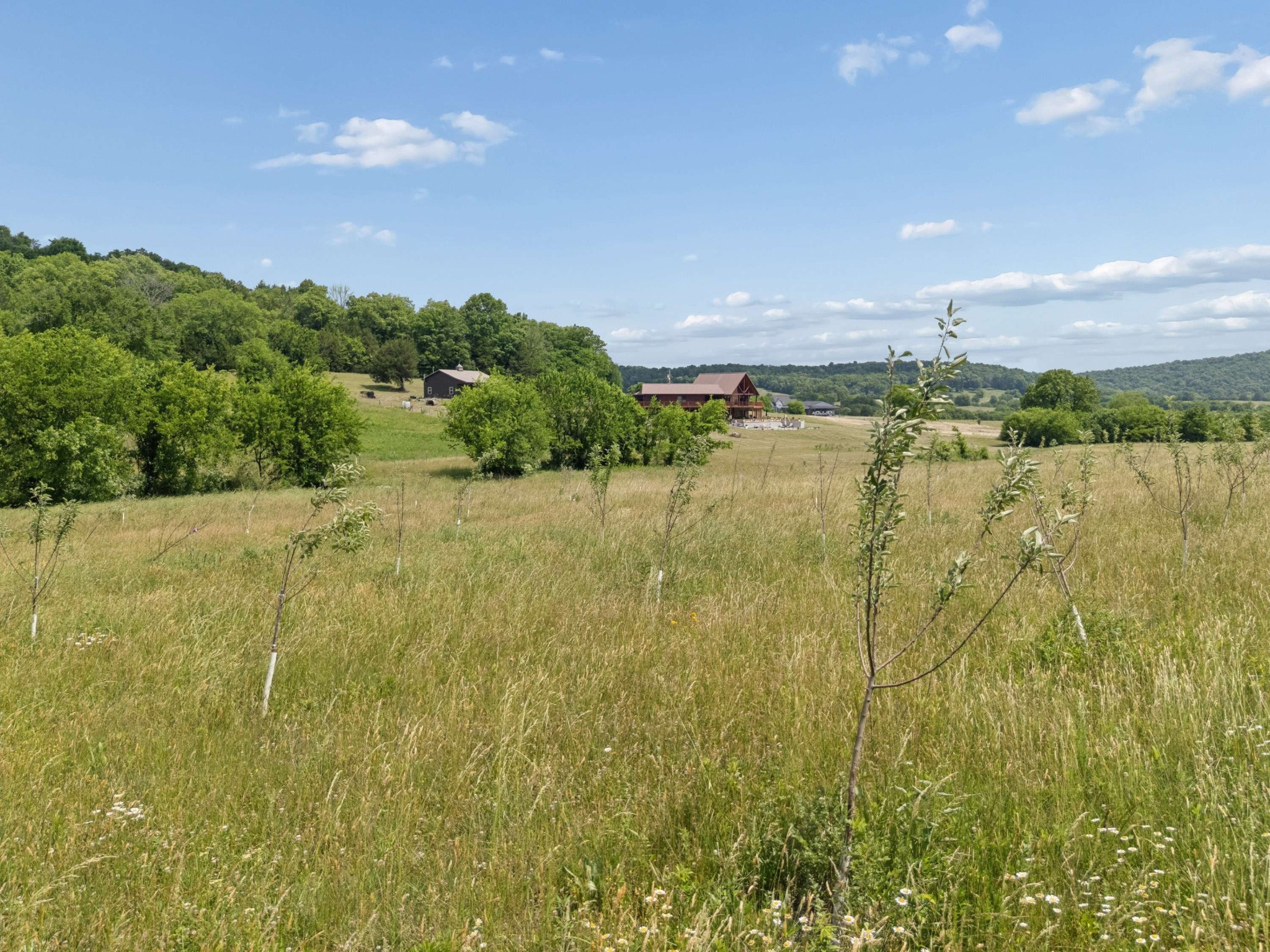 2063 Kennedy Creek Road Auburntown, TN 37016 - Photo 80 of 98