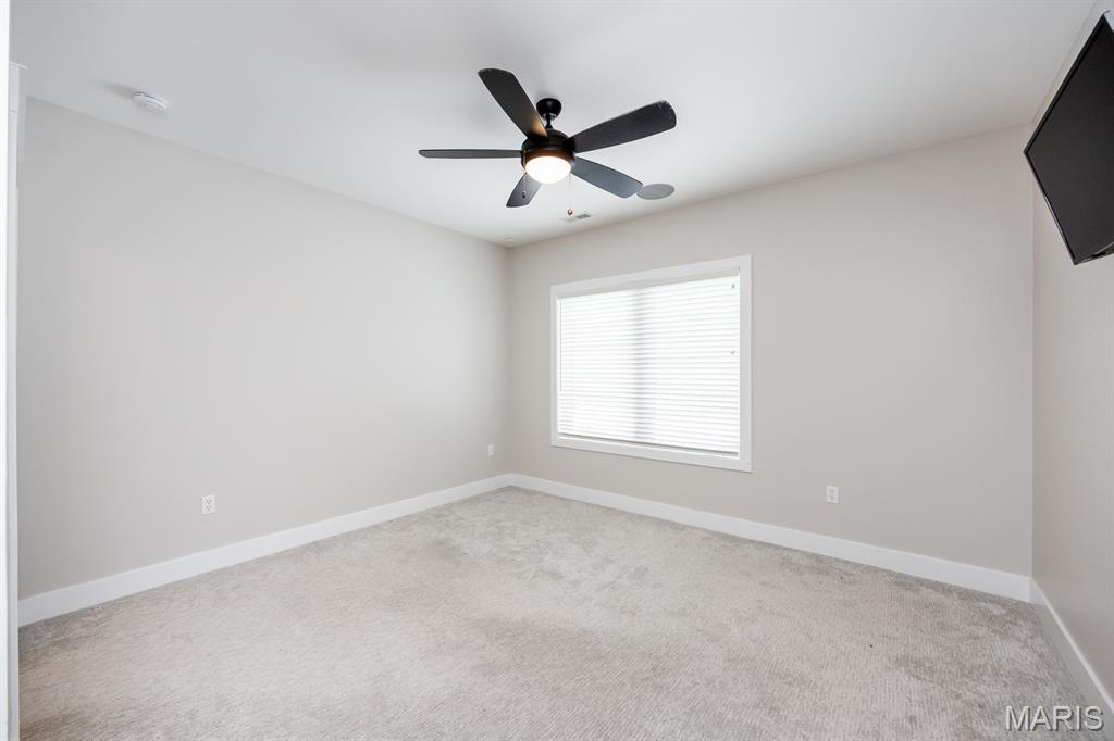 449 Tyler Drive Troy, IL 62294 - Photo 44 of 63
