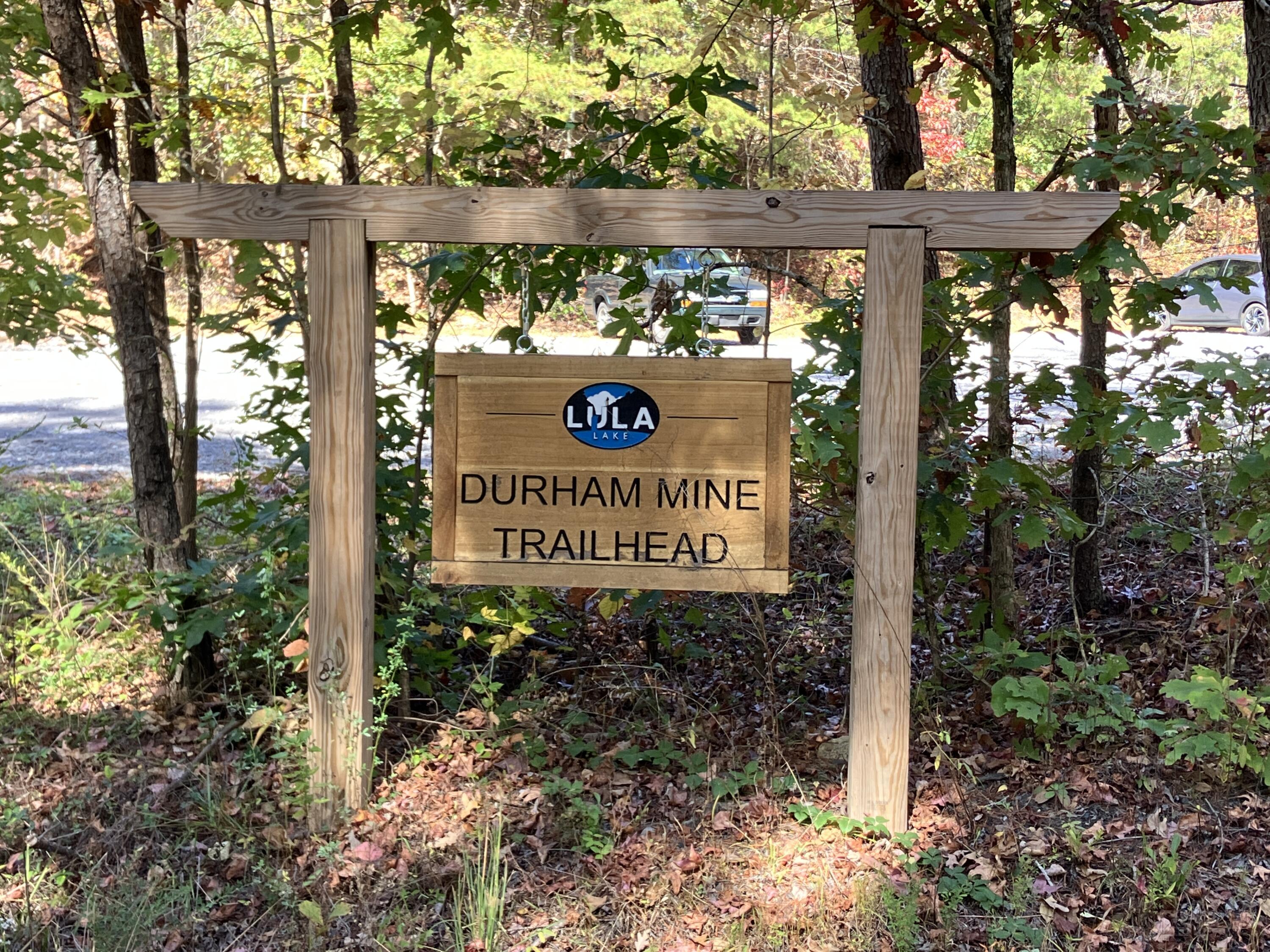 440 Durham Road Rising Fawn, GA 30738 - Photo 29 of 31 IMG_2315