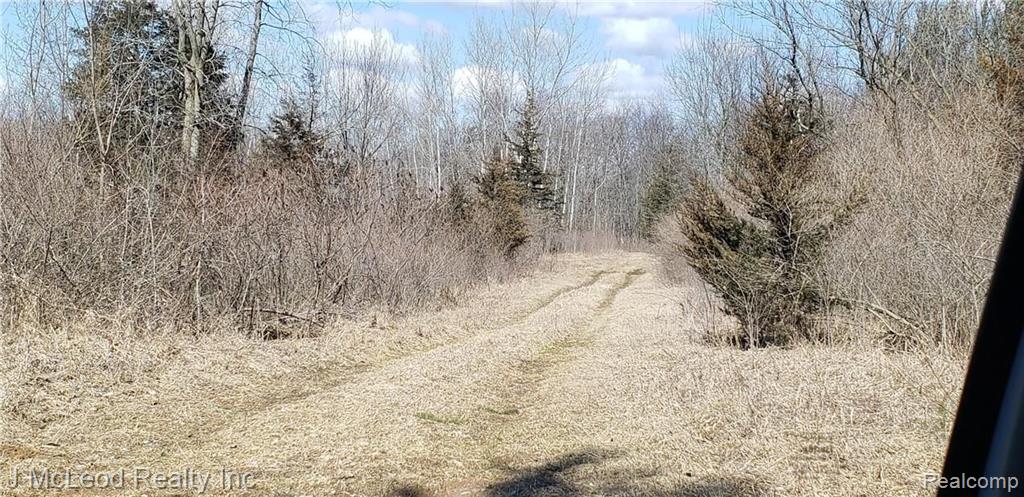 Vl Oak Road Millington, MI 48746 - Photo 2 of 10