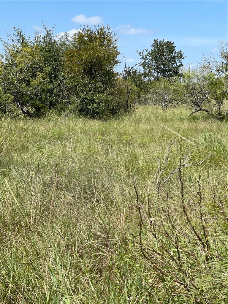11 Lake Road Lockhart, TX 78644 - Photo 1 of 1