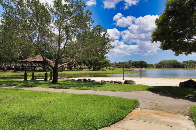 a view of a park with large trees