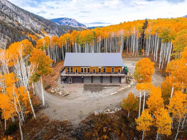 a view of a large yard with plants and large trees