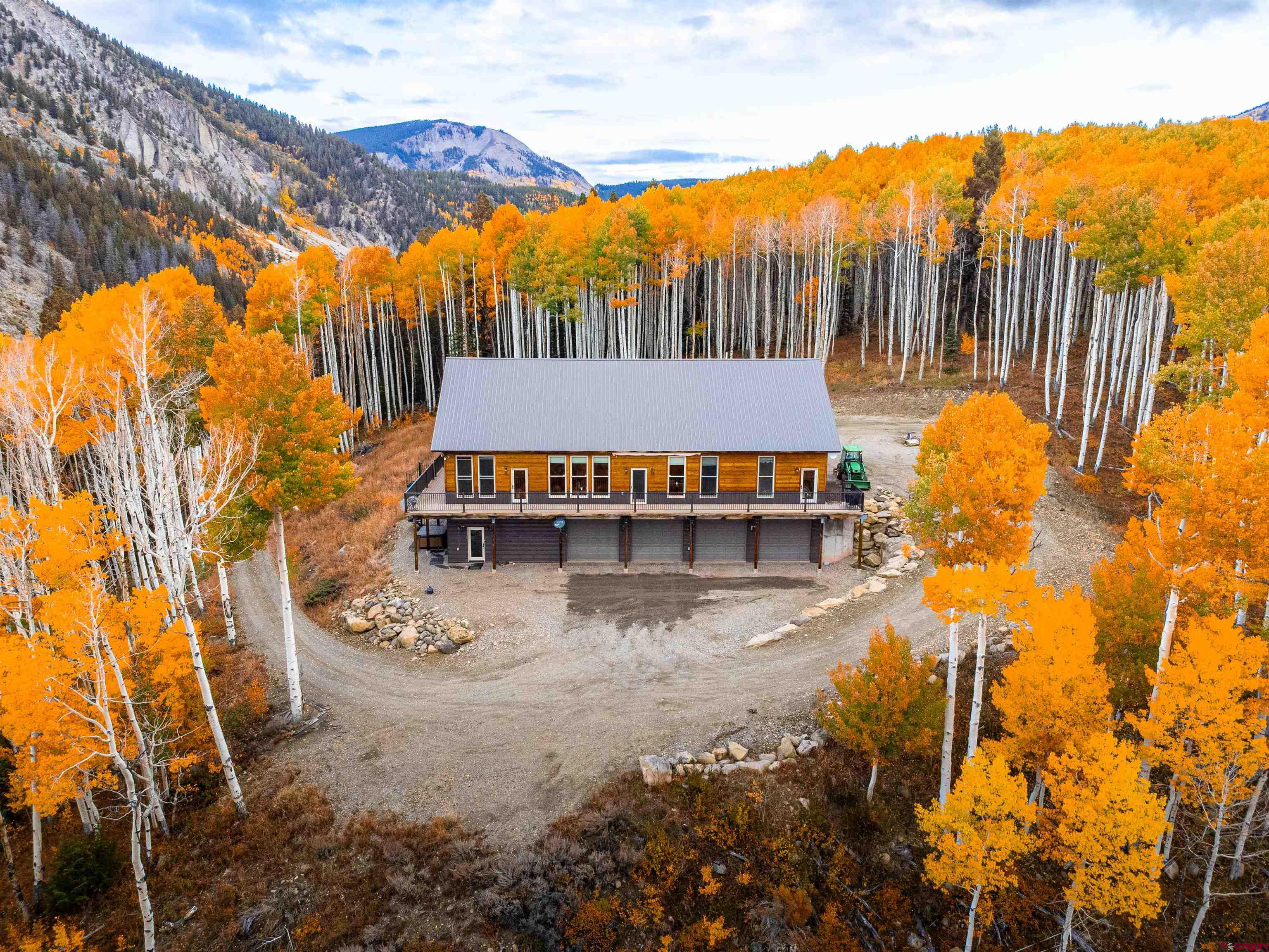 a view of a large yard with plants and large trees