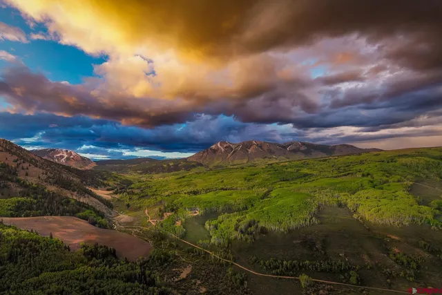 a view of a garden from a lake